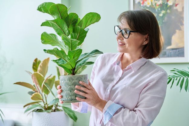 6 reasons why you should choose an eco friendly retirement community in gastonia nc img