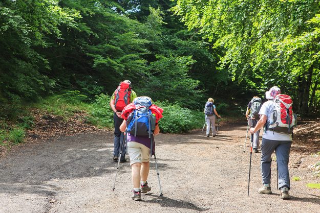 group hikers walking path group hikers walking path