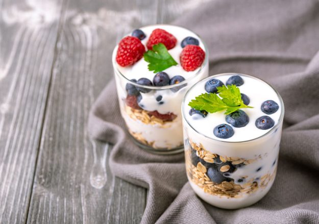 probiotics for seniors what are the benefits img probiotics for seniors what are the benefits img