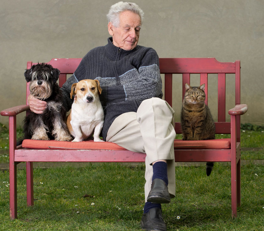 3 questions to ask before moving your pet to senior living img 3 questions to ask before moving your pet to senior living img