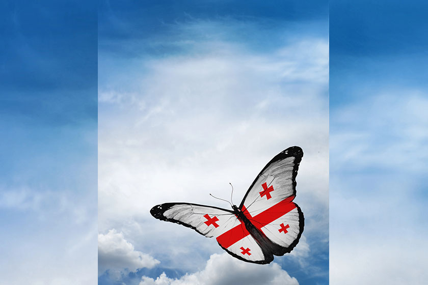 georgia flag butterfly