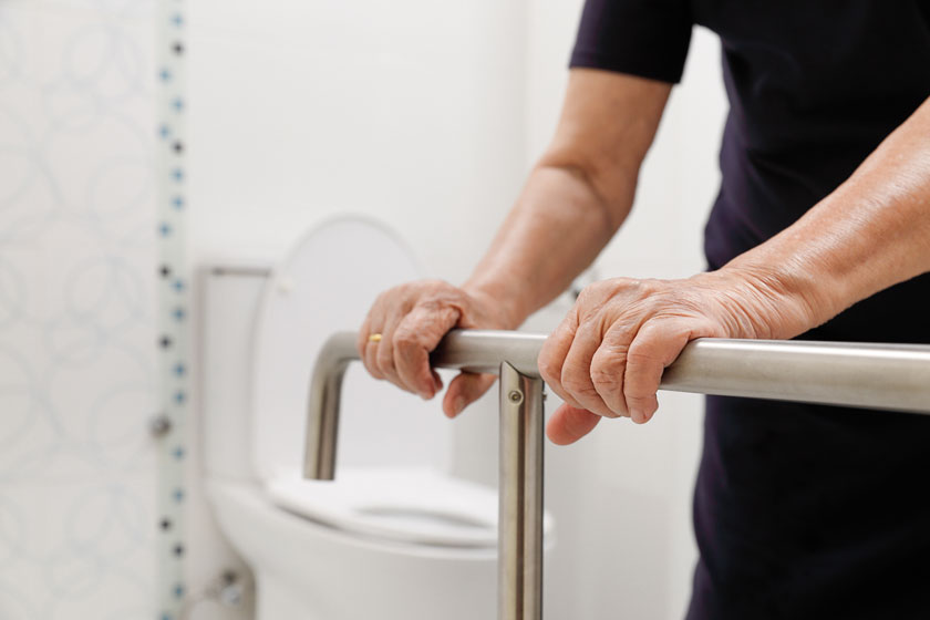 grab bars a vital element in charlotte nc senior community living img