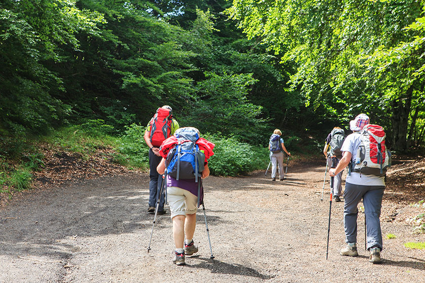 group hikers walking path