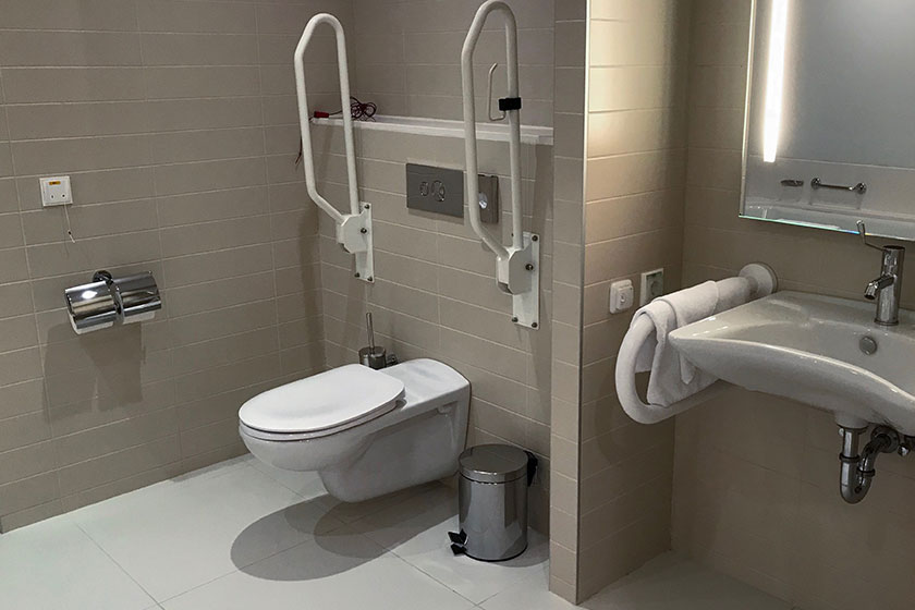 handicapped access bathroom grab bars toilet handicapped access bathroom grab bars toilet