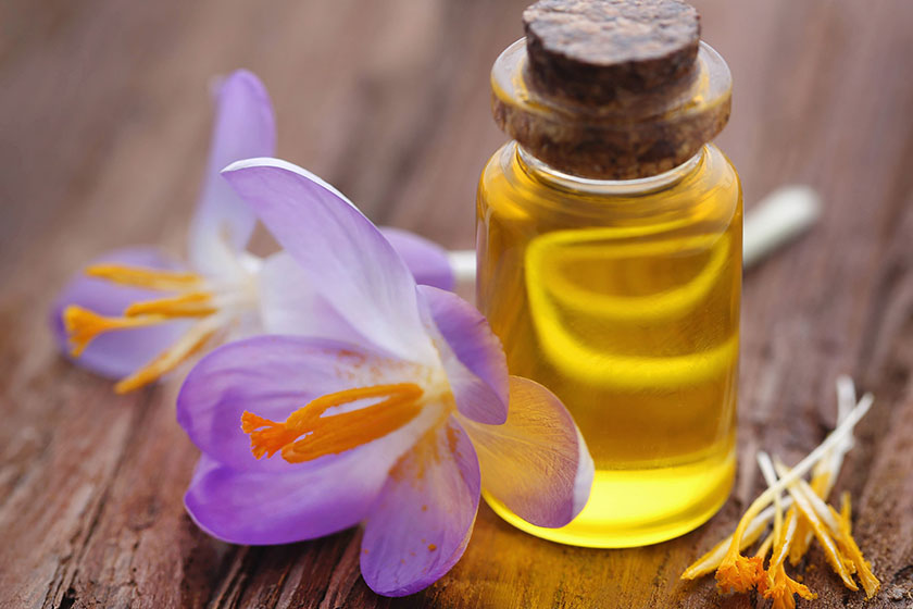 yellow crocus or saffron