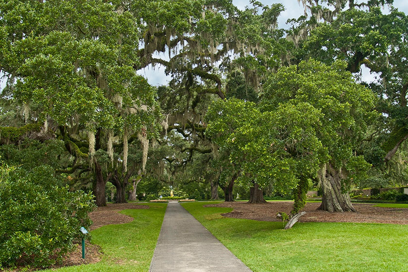 Botanical Bliss Seniors Discover Tranquility At Brookgreen Gardens In