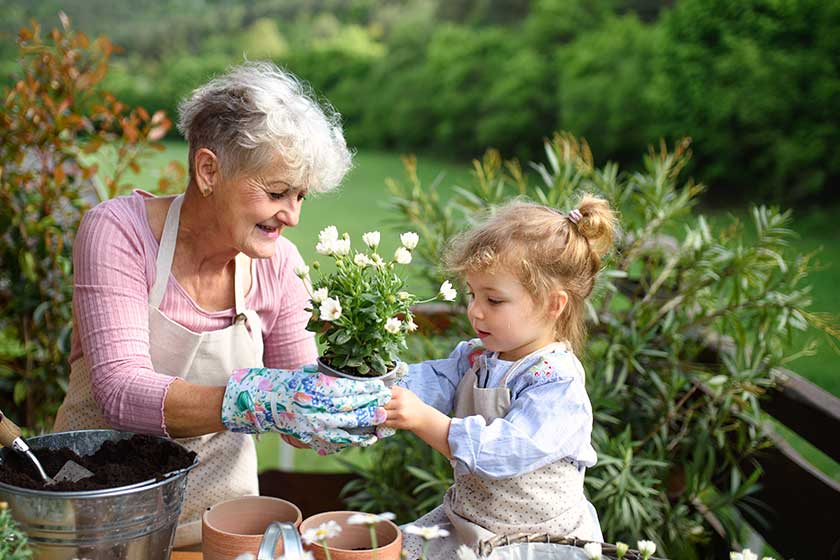 senior grandmother with small granddaughter gardening on balcony in summer senior grandmother with small granddaughter gardening on balcony in summer