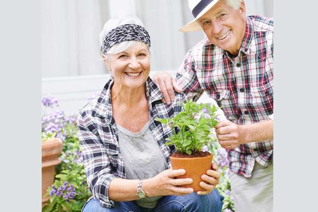 spending time garden keeps young happy senior couple busy gardening spending time garden keeps young happy senior couple busy gardening