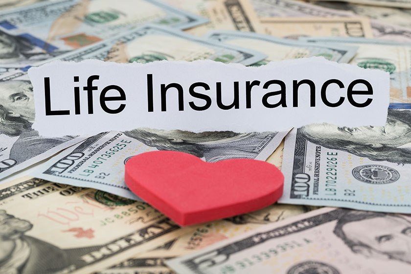 life insurance text