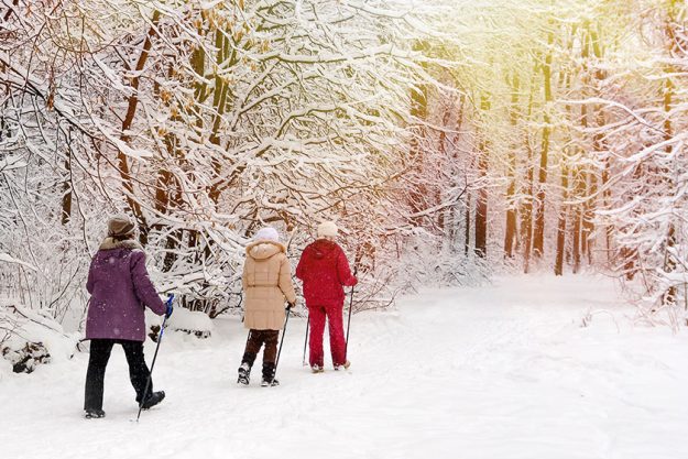 nordic walking in the winter park nordic walking in the winter park