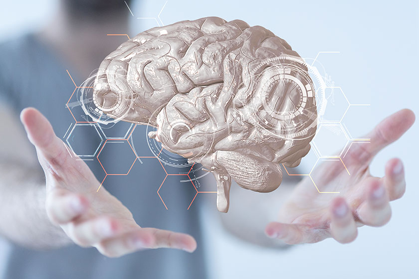 rendering white human brain icon floating man hand artificial intelligence