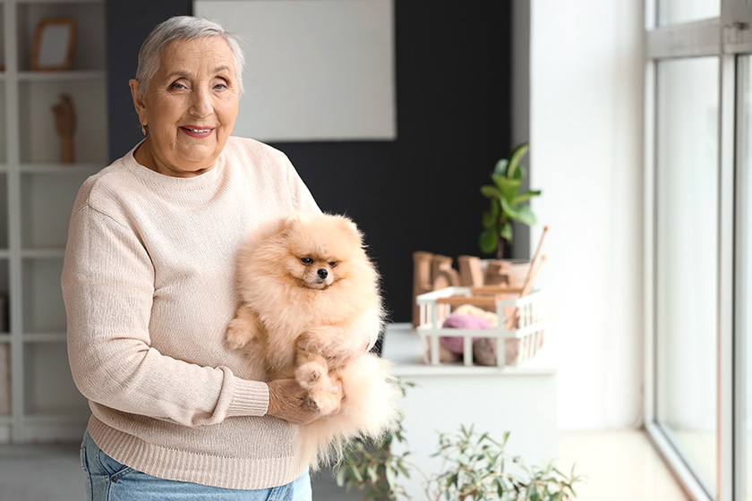 senior woman pomeranian dog window home senior woman pomeranian dog window home