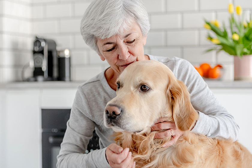 woman grey hair enjoys time home golden retriever