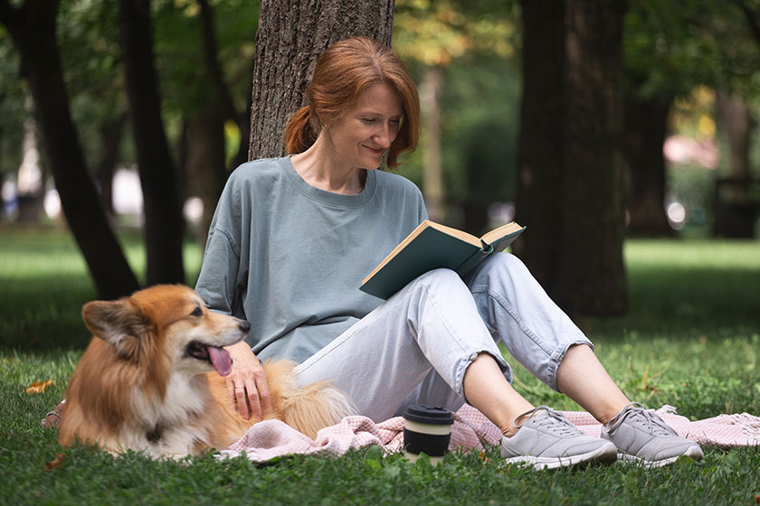 Beautiful corgi dog girl par
