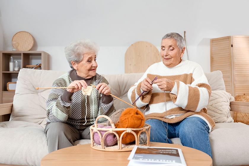 Senior female friends knitting sofa home