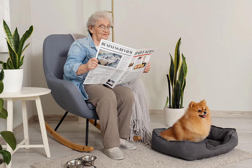 Senior woman reading newspaper pomeranian dog pet bed home