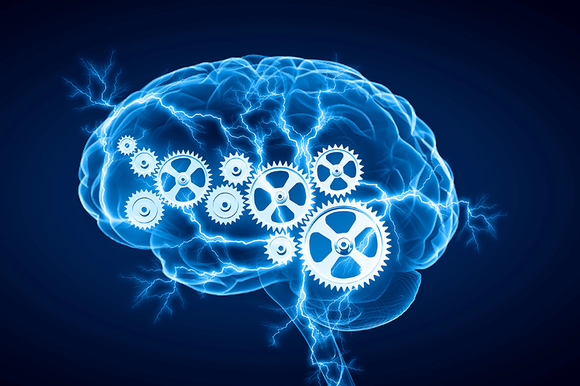 digital human brain digital human brain