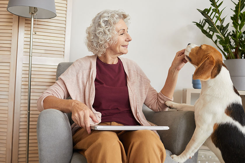 Warm toned portrait senior woman playing dog while enjoying time