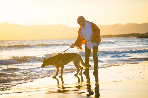 beautiful retired older woman pet german shepard dog walking