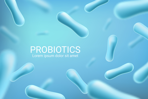 probiotic bacteria lactobacillus acidophilus bifidobacterium lactis probiotic bacteria lactobacillus acidophilus bifidobacterium lactis