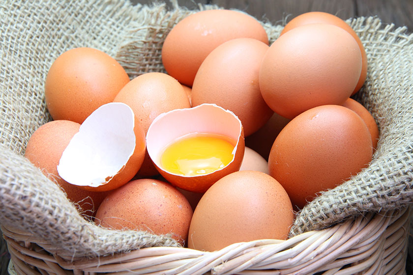 Egg yolk with chicken eggs