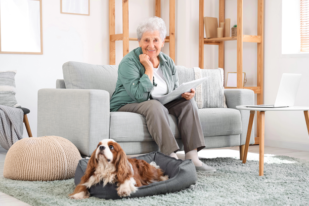 senior woman newspaper cute cavalier king senior woman newspaper cute cavalier king