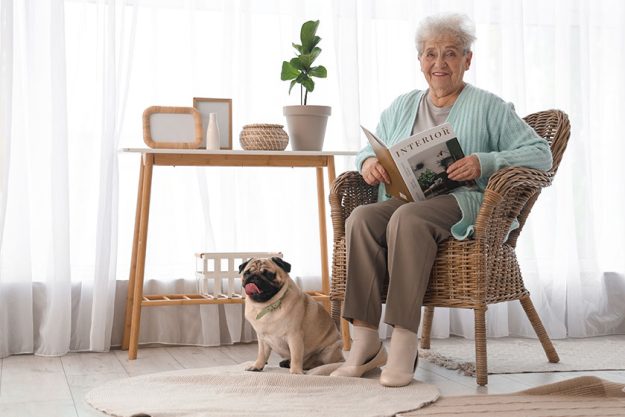Senior woman pug dog reading magazine armchair home