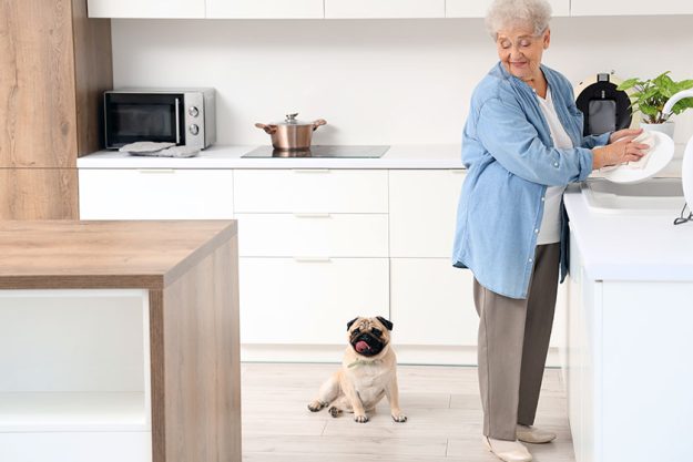 Senior woman pug dog washing dishes kitchen