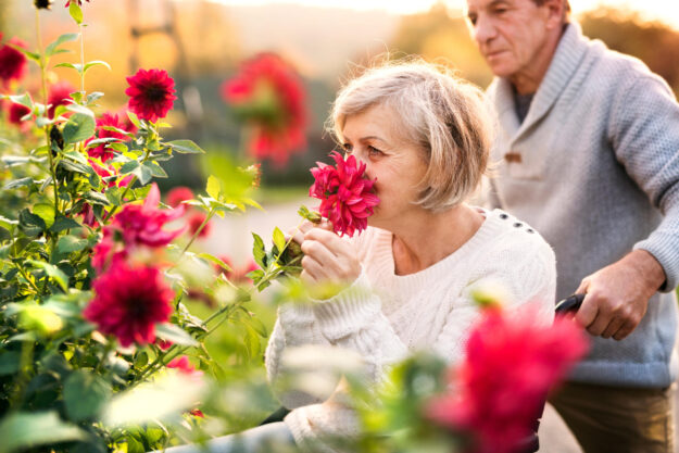 Senior,Couple,On,A,Walk.,Senior,Man,Pushing,A,Woman