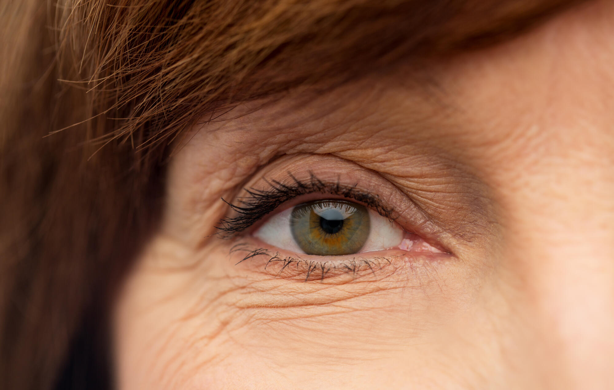 Beauty,,Vision,And,Old,People,Concept, ,Eye,Of,Senior Beauty,,Vision,And,Old,People,Concept, ,Eye,Of,Senior