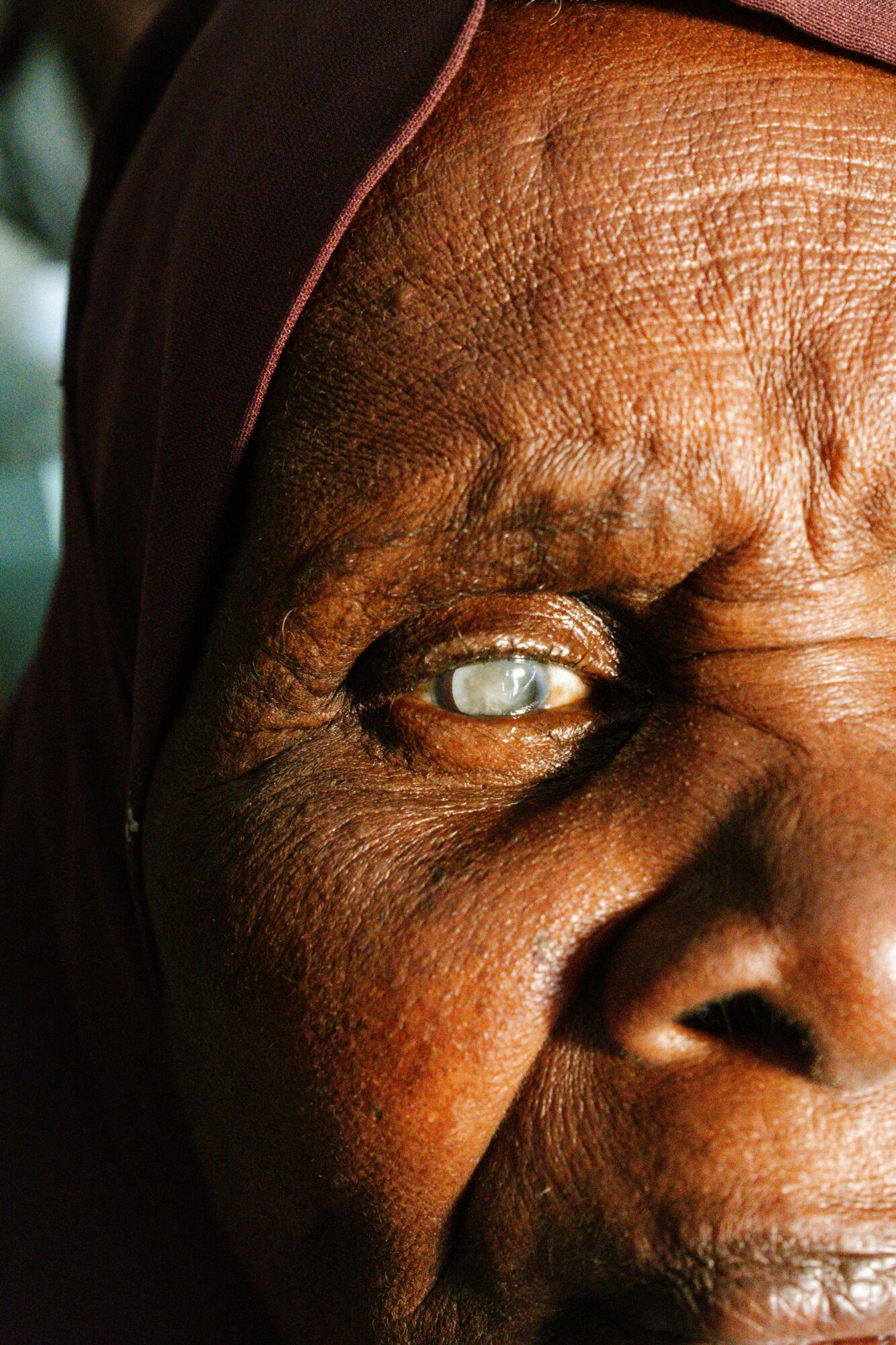 pexels photo 30253176