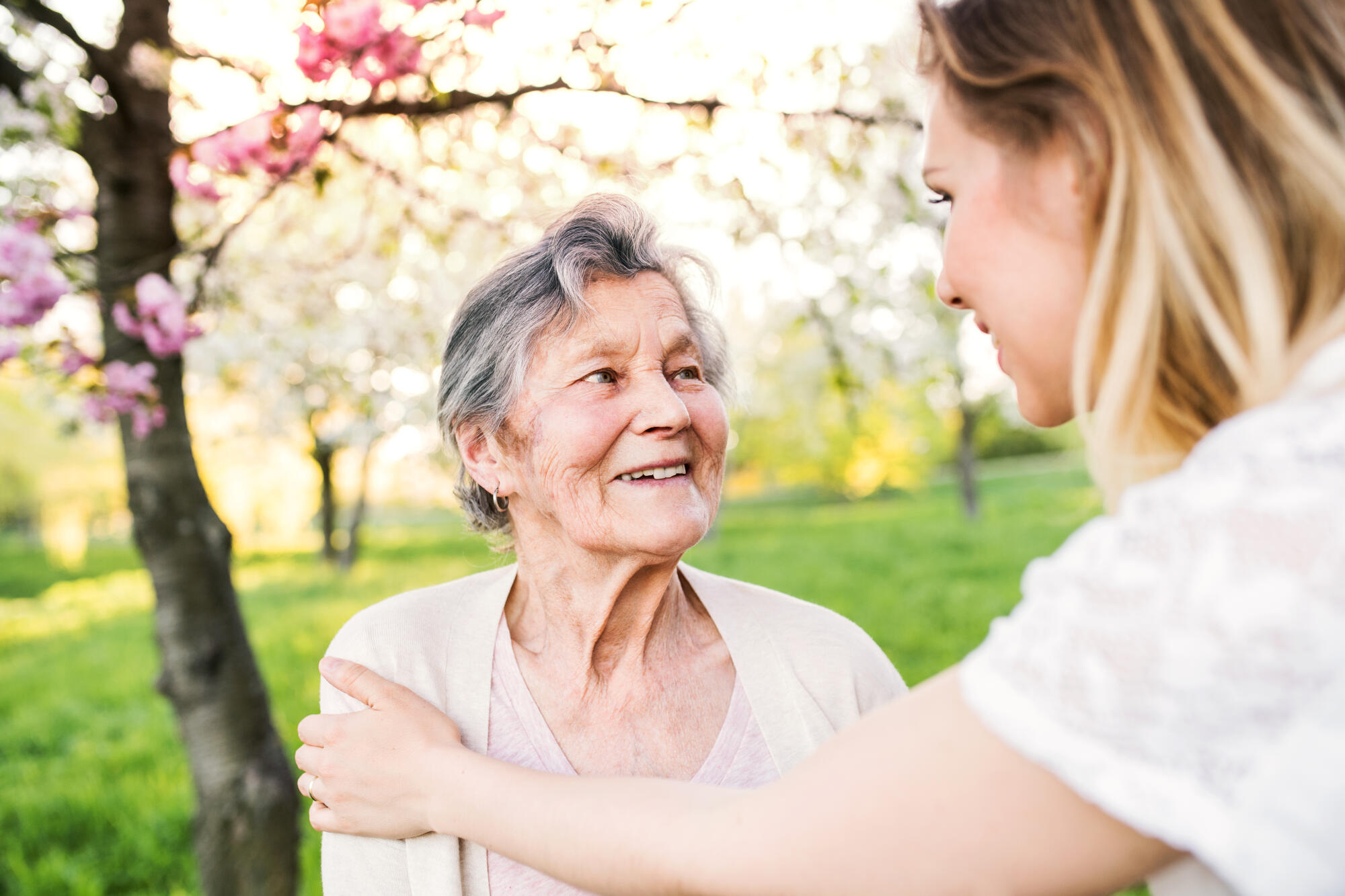 Elderly,Grandmother,And,Granddaughter,In,Spring,Nature. Elderly,Grandmother,And,Granddaughter,In,Spring,Nature.