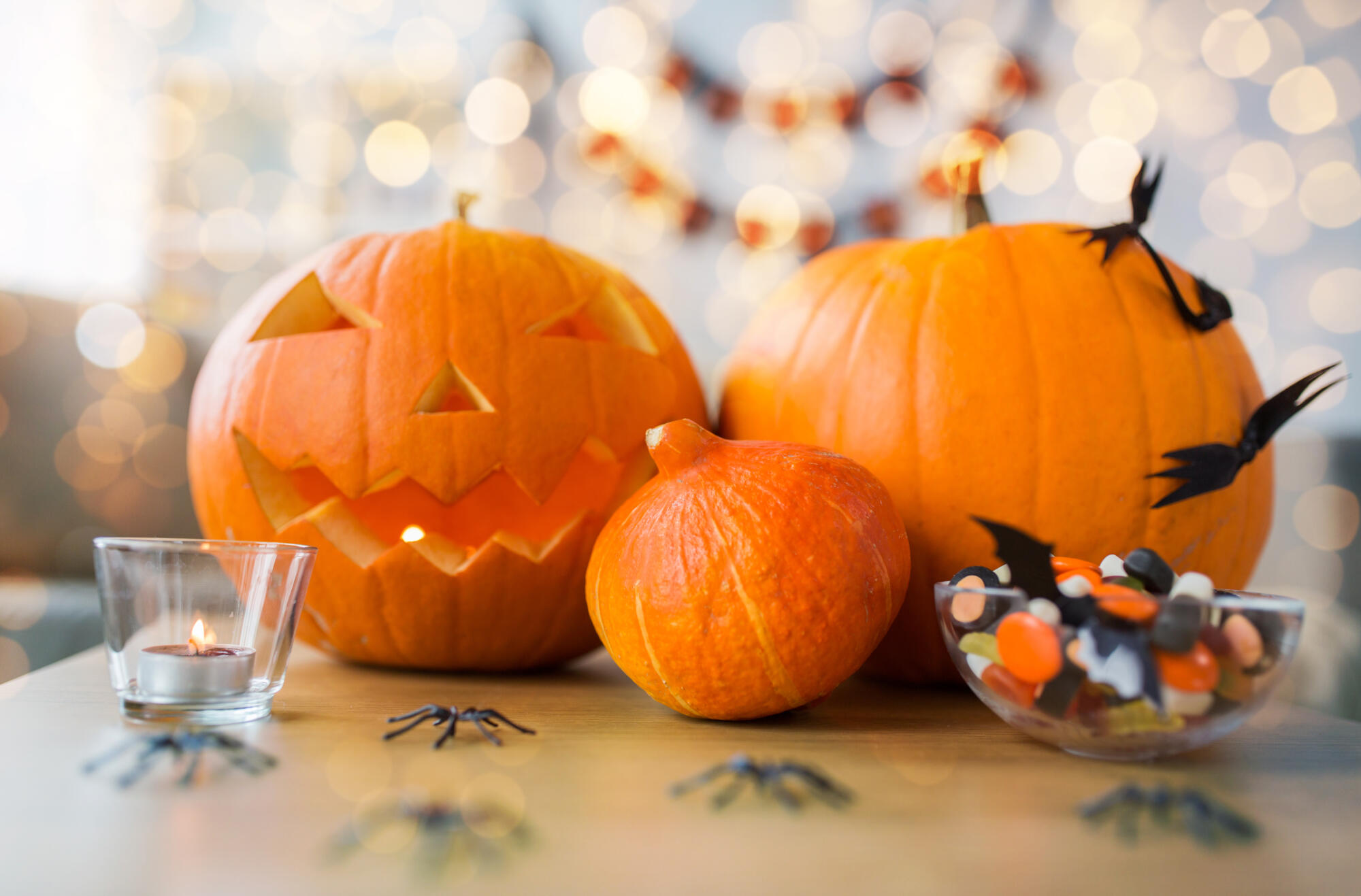 Holidays,,Decoration,And,Party,Concept, ,Jack o lantern,Or,Carved,Pumpkin Holidays,,Decoration,And,Party,Concept, ,Jack o lantern,Or,Carved,Pumpkin