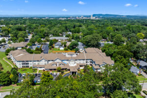 Greenville 045 Aerial View