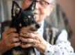 pet therapy
