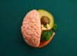 Brain with various food products. Healthy food